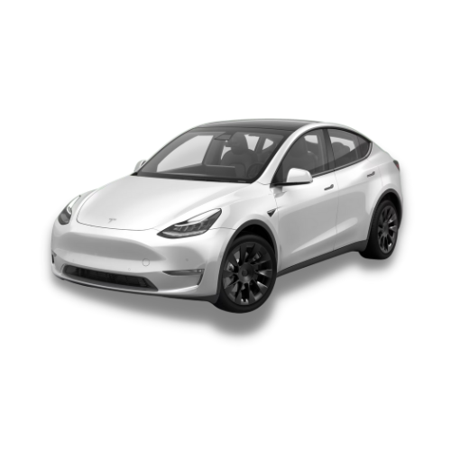TESLA Model Y Leasing LLD PCA Services